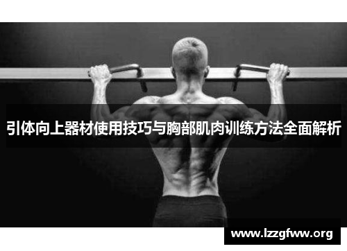 引体向上器材使用技巧与胸部肌肉训练方法全面解析